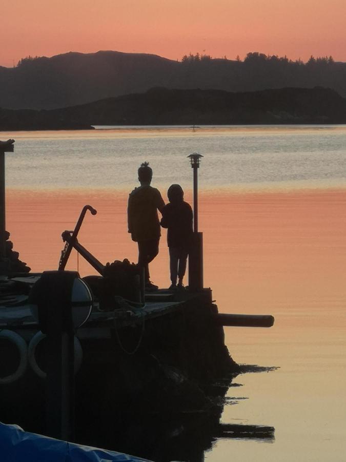Kobbaneset Hk - Tett Pa Havet - Bekkjarvik Lägenhet Exteriör bild