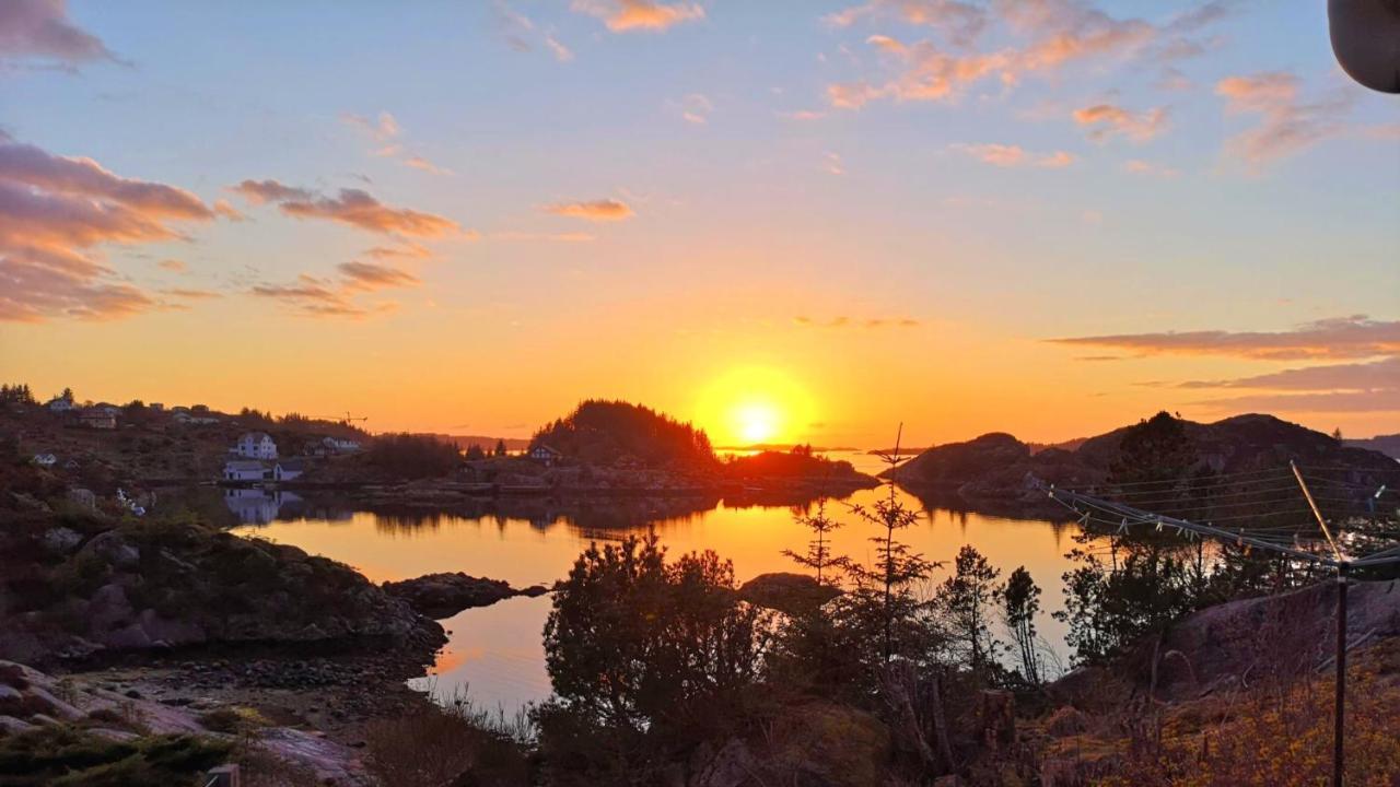 Kobbaneset Hk - Tett Pa Havet - Bekkjarvik Lägenhet Exteriör bild